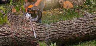 Lawn Irrigation Installation and Maintenance in Canutillo, TX